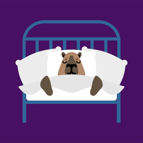 Capybara Schläft Meerschweinchen Schlafen Bett — Stockvektor