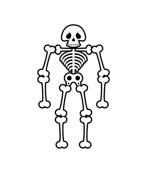Desenhos Animados Esqueleto Isolado Cabeça Engraçada Caveira Ilustração Vetorial — Vetor de Stock