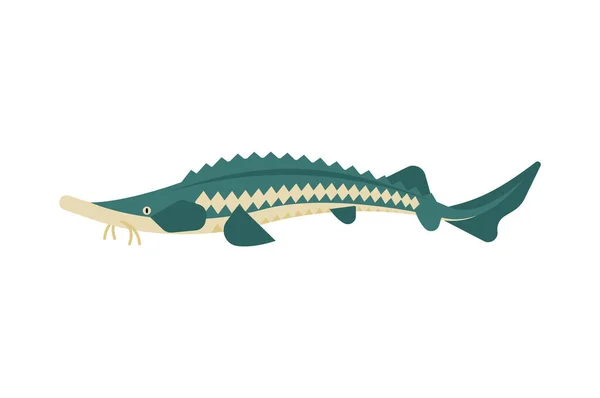 Storione Isolato Segno Pesce Illustrazione Vettoriale — Vettoriale Stock
