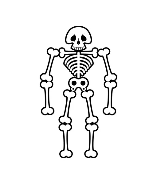 Skelet Karikatürü Izole Edildi Kafatası Komik Kafa Vektör Illüstrasyonu — Stok Vektör