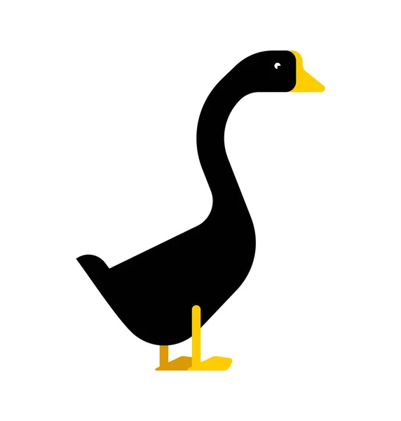 Black Goose Isolated Black Farm Bird Vector Illustration — Stock Vector