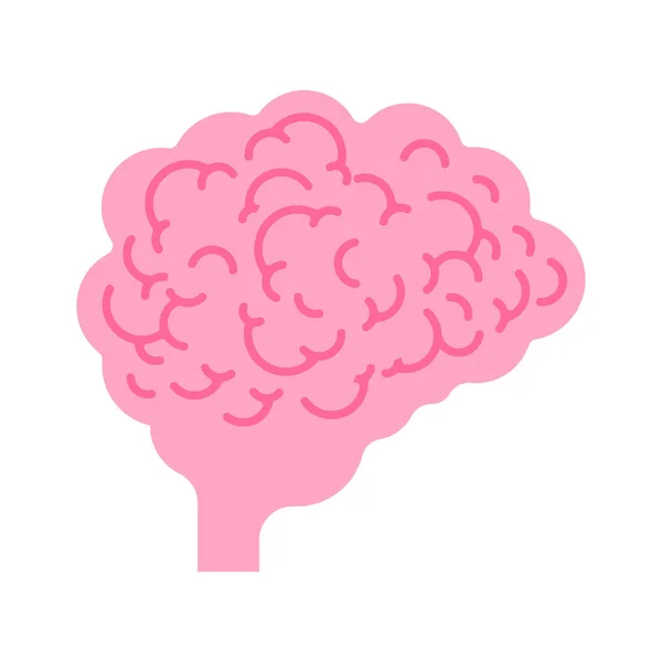 Mozek Izolován Vektorová Ilustrace Mozku — Stockový vektor