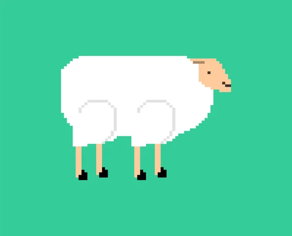 Τέχνη Από Πρόβατα Pixel Προβατίνα Bit Εικονογραφημένη Διανυσματική Απεικόνιση — Διανυσματικό Αρχείο