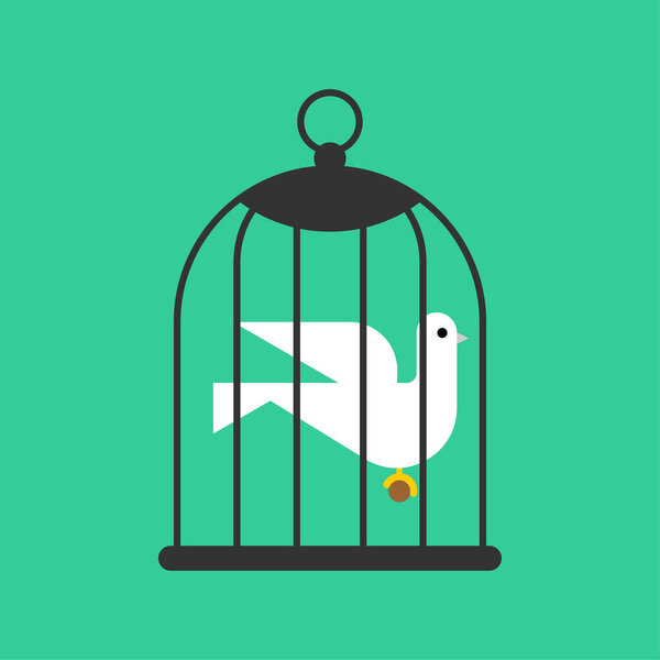 Pigeon in cage. Bird in cage. Concept of unfreedom