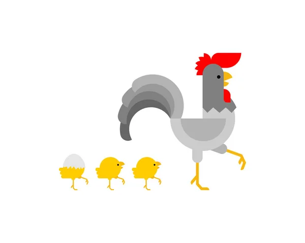 公鸡和小鸡在散步 农场鸟类 概念爸爸和孩子 — 图库矢量图片