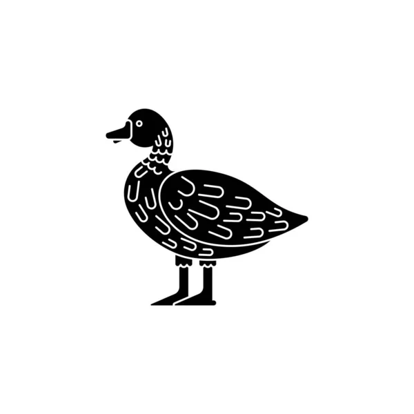 Ikona Kaczki Odizolowana Ilustracja Drake Vector — Wektor stockowy