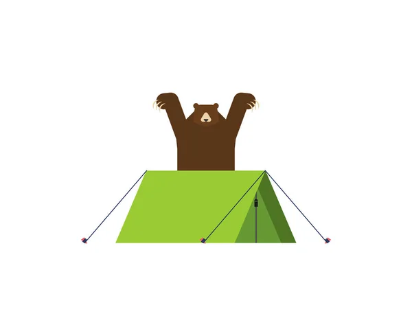 Bear Camping Tent Angry Grizzly Scares Tourist Royalty Free Stock Vectors