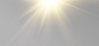 Altın ışık parçacıkları. Altın ışık. Işık patlaması. Saydam arkaplanda izole edilmiş yıldızlar.