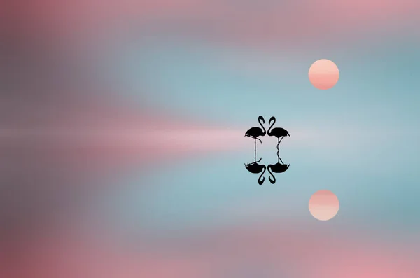 Потрясающие Цвета Восхода Синего Моря Фламинго Воде — стоковое фото