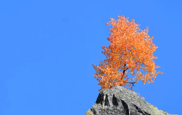 Piękna Jesień Górach Rugovo Kosowo — Zdjęcie stockowe