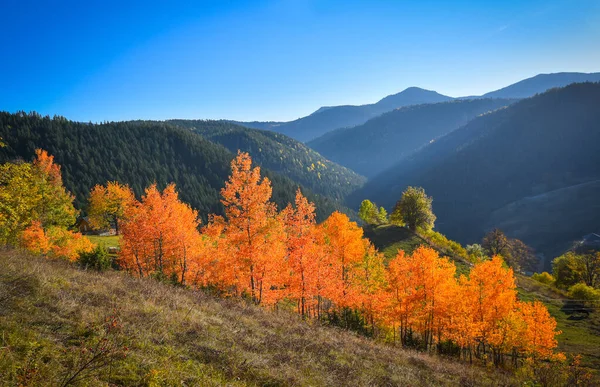 Piękna Jesień Górach Rugovo Kosowo — Zdjęcie stockowe