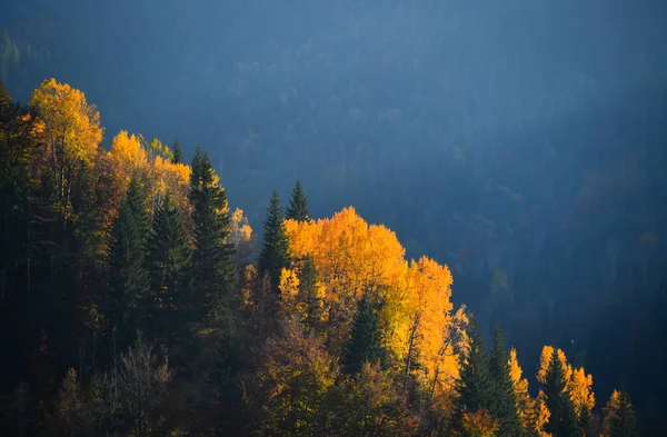 stock image Beautiful autumn in the mountains of Rugovo Kosovo