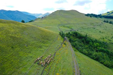 Kosova 'nın güzel doğası