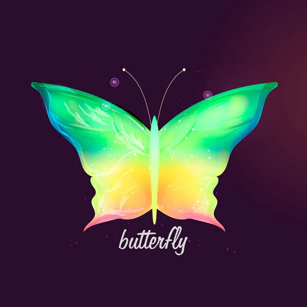 Beautiful Banner Butterfly Made Glow Lines — Stock Vector