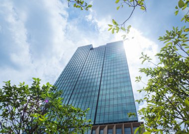 Çevre dostu, ticari ya da yeşil girişimler için fikirler. Sanal bir reklam panosunda yeşil arkaplan ve yeşil semboller. Kelimeleri boşluk bırakmadan yaz.