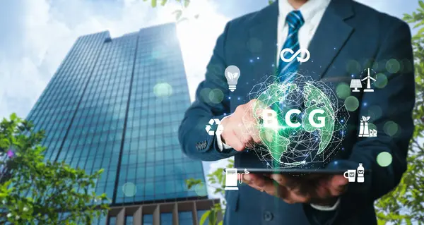 Bio-Circular-Green Economy (BCG) model. a strategy to guarantee the sustainability of the society, economy, and environment. Sustainable development, ecological modeling, and the BCG model.