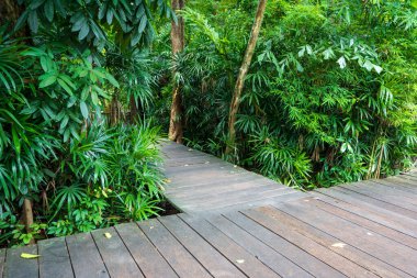 Bahçedeki ahşap yürüme yolu