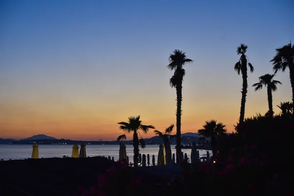 stock image Evening beach with palms silhouettes