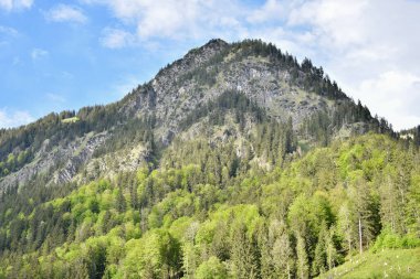 Güzel dağ Alpleri manzarası