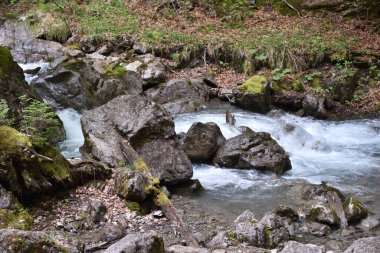 Güzel manzara, dağ deresi deresi 