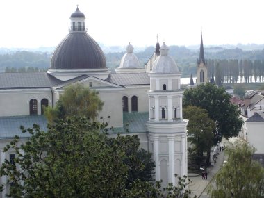 Lutsk Ukrayna - 27 Eylül 2008 Saint Paul Katedrali ve Havariler Peter