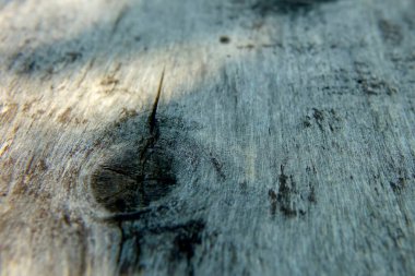 Yıpranmış ahşap bir tahtanın yakın görüntüsü eşsiz lif dokusunu ve doğal kusurlarını gösteriyor..