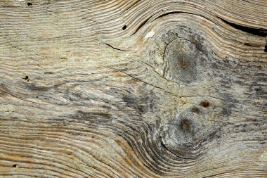 Görünür tahıl ve fiber desenli kırsal ahşap bir tahtanın detaylı dokusu.