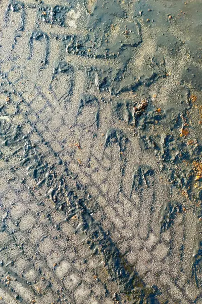 stock image Tire tracks left in wet mud showcase patterns of off-road vehicles in a rural area.