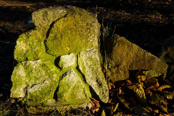 stock image Textured boulders form an ancient stone wall with moss amid fallen leaves in a forest.