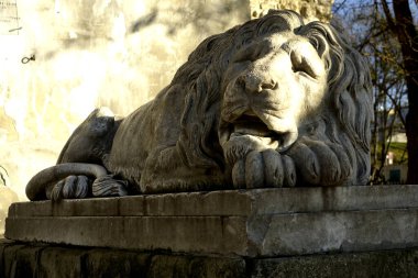 Dinlenmiş bir aslanın heykeli, Lviv 'deki tarihi Toz Kulesi' nin yanında serin ifadesini ve karmaşık ayrıntılarını gözler önüne seriyor..