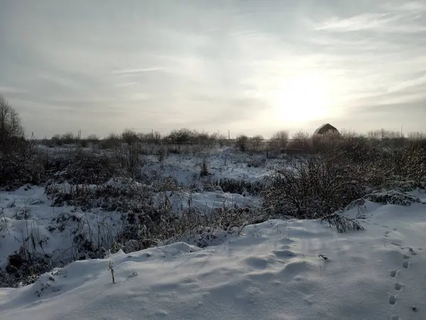 Karlı bir tarlada batan güneşe karşı silueti olan beyaz battaniyenin içinden geçen hayvan izleri bulunur..