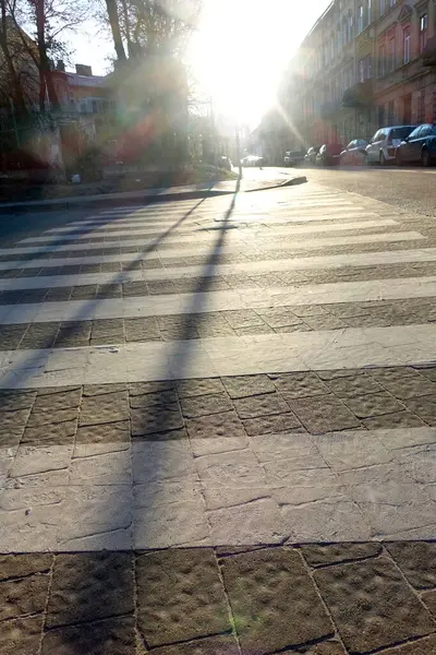 stock image A pedestrian crossing is illuminated by the setting sun, casting long shadows on the ground as cars line the peaceful street.