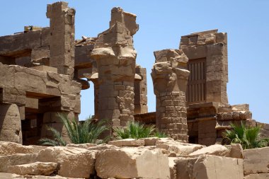 Ziyaretçiler Mısır 'daki tarihi Karnak tapınağı kompleksindeki etkileyici taş sütunlara ve devasa harabelere hayran kaldılar. Yapıda, Palmiye ağaçlarıyla çevrili antik Mısır mimarisi sergileniyor.