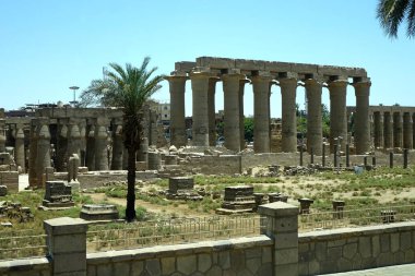 The view from a bus showcases the ancient ruins of Luxor Temple, featuring impressive statues and a grand colonnade under a bright blue sky, surrounded by lush greenery and palm trees. clipart