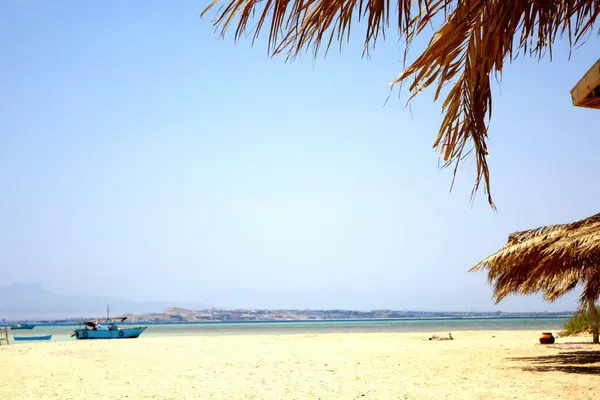 Ziyaretçiler, sakin sulara ve uzak teknelere bakan bir sahil şemsiyesi ile gölgelenmiş, Hurghada, Kızıldeniz 'deki Cennet Adası' nın sakin kıyılarının keyfini çıkarıyorlar..