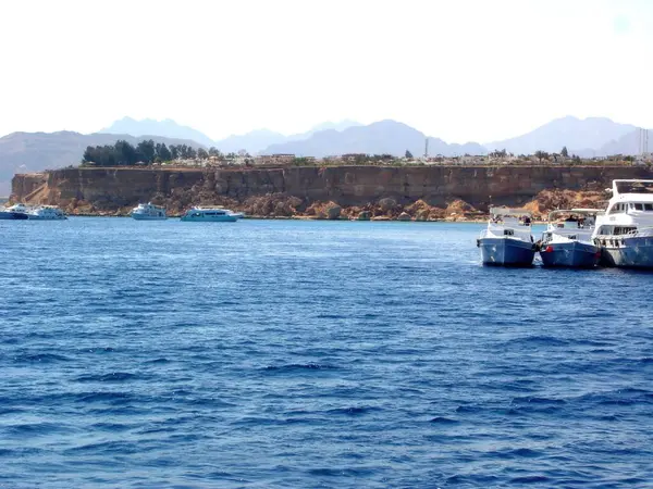 Huzurlu bir tekne gezisi, Mısır 'ın Sina kıyısı boyunca demirlemiş kayıklarla Kızıl Deniz' deki bir mercan adasının çarpıcı manzarasını gözler önüne seriyor..