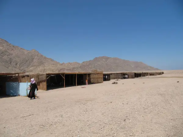 stock image Tourists explore the unique camping area by the Ras Abu Abu Galum Marine Reserve, featuring wicker and metal accommodations set against the backdrop of the mountains and desert landscape.