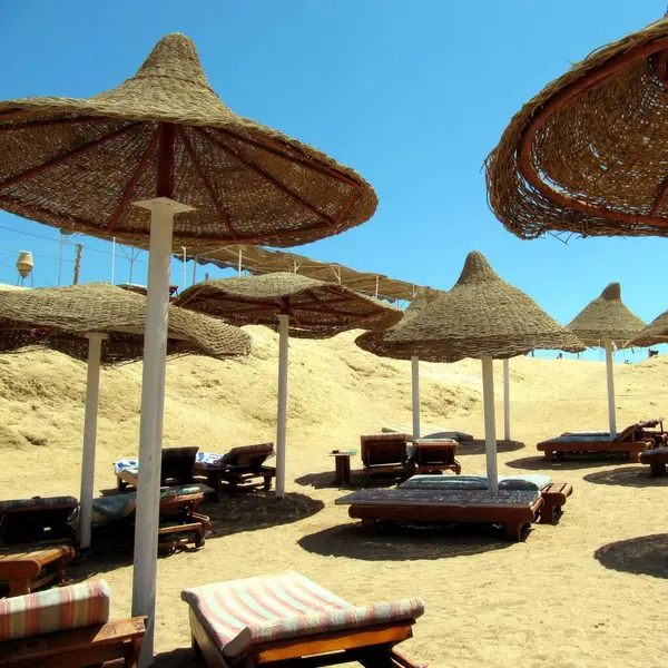 Ziyaretçiler, Kızıl Deniz kıyısındaki hasır şemsiyelerle gölgelenmiş güneşli güneş altında mükemmel bir plaj kaçış atmosferi yaratıyorlar. Açık mavi gökyüzü bu sakin ortamı güçlendirir.