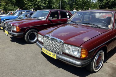 Lviv, Ukrayna - 1 Haziran 2023 İki kestane rengi model Mercedes-Benz 230E, W123 adlı klasik klasik klasik araba dizisi, yeşilliklerle çevrili güneşli bir açık hava etkinliğinde araba tutkunlarını cezbeder.