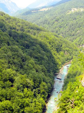 Karadağ 'daki büyüleyici Tara Nehri Kanyonu' nu keşfedin. Yeşillik ve nefes kesici manzaralarla çevrili. Açık hava meraklıları ve doğa severler için mükemmel..