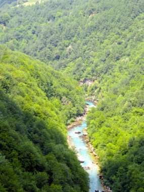 Karadağ 'daki nefes kesici Tara Nehri Kanyonunu keşfedin, canlı yeşillik ve kristal berraklığında sular, doğa severler ve macera arayanlar için mükemmel.