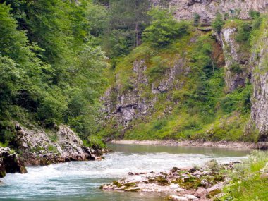 Karadağ 'da yemyeşil ve yükselen uçurumlarla çevrili Tara Nehri Kanyonu' nun sükunetini hissedin. Doğa aşıkları ve maceracılar için mükemmel bir yer..