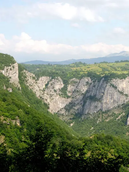 Karadağ 'daki Komarnica Nehri kanyonunun güneşli bir günde yüksek uçurumlar ve yemyeşil alanlarla çevrili dingin güzelliğini keşfedin.