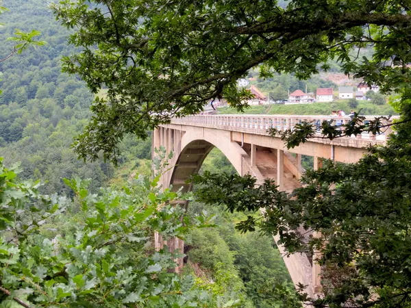 Tara, Karadağ - 19 Temmuz 2014 Ziyaretçiler Djurdzhevych Köprüsü 'nün mimarisine hayranlık duyarken, Tara Nehri Kanyonu' nda yemyeşil alanlarla çevrili. Titrek manzara yolculuğu güçlendirir..