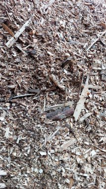 Odun parçaları, yenilenebilir enerji girişimi sergilenirken endüstriyel bir yerde biyoyakıt üretimi için işleniyor. Faaliyet sürdürülebilirliği vurguluyor.