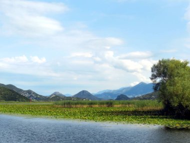 Karadağ 'daki Skadar Gölü' nün nefes kesici güzelliğini keşfedin, yemyeşil manzaralar sakin sularla buluşur ve uzak dağlar doğa severler için çarpıcı bir zemin oluşturur..