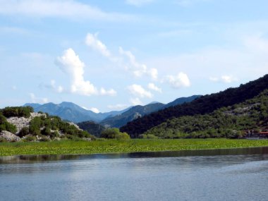 Karadağ 'da yuva yapan Skadar Gölü' nde sakin sular, dağınık bulutlar ve zengin yeşil tepeleri yansıtıyor ve parlak mavi gökyüzü altındaki keşifleri davet ediyor.