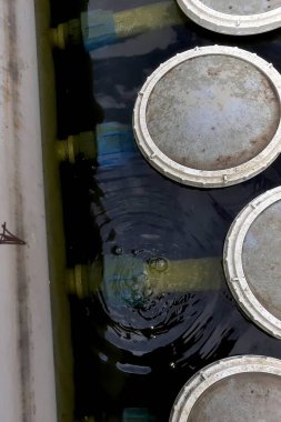 Suya batırılmış, dairesel örtüleri ve devam eden su hareketlerini gösteren bir havalandırma dağıtıcı sistemin yakın çekim görüntüsü. Bu düzenek su yaşamının oksijen seviyesini arttırır..