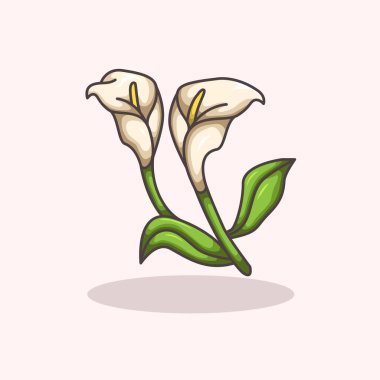 Çiçek tasarımı, bitki tasarımı, bitki tasarımı, botanik projeleri ve doğa konuları için mükemmel saflığı ve güzelliği sembolize eden zambak bitkisinin vektör çizimi