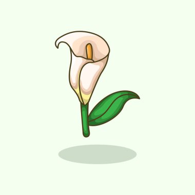 Çiçek tasarımı, bitki tasarımı, bitki tasarımı, botanik projeleri ve doğa konuları için mükemmel saflığı ve güzelliği sembolize eden zambak bitkisinin vektör çizimi